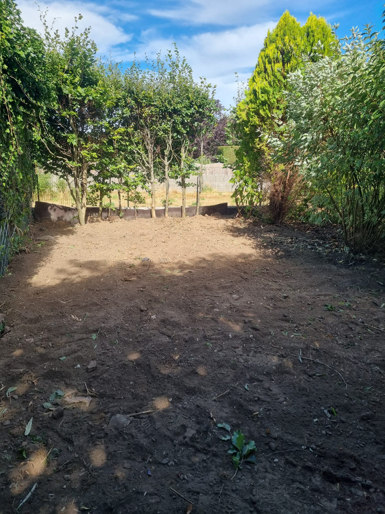 Lardibois - Aménagement de pelouse